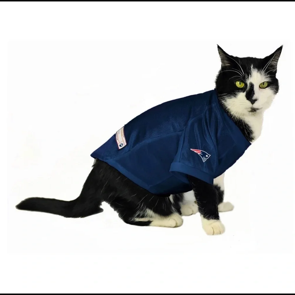 Patriots Pet Jersey (small)